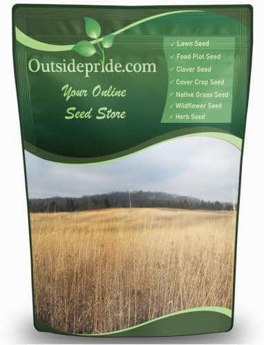 Outsidepride Indian Native Grass Seed - 1 lb. Perennial, Low Maintenance, Drought-Tolerant Prairie Grass Seed for Wildlife Habitat, Livestock Forage, Ornamental Landscaping & Erosion Control by Outsidepride