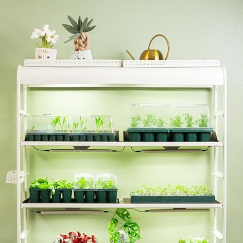 Vego garden Seedling Dome Cover 10" x 20" Food-Grade PET Plastic with Drip Irrigation & Vented Airflow for Seeds Growing Starting 8 Packs - Image 5