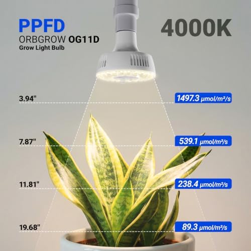 Barrina Orbgrow OG11D Grow Light Bulbs with Base, 4000K 11W, 2 Packs, White - Image 2