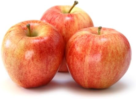 American Plant Exchange Live Gala Apple Tree, Fruit-Bearing Plant Pot for Harvest and Home and Garden Decor, 2-3' Tall, 1-Gallon Pot - Image 3