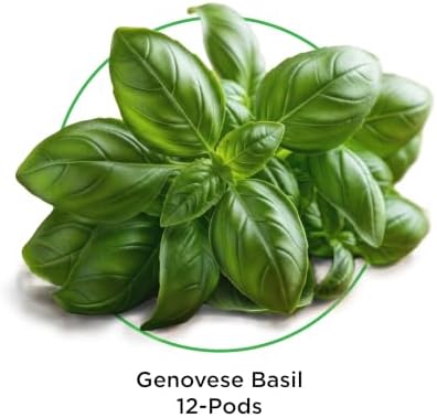 Pesto Basil Seed Pod Kit - Pre-Seeded & Hand Made in the USA - Image 2