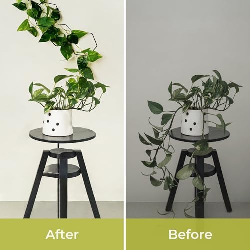 Chain Trellis for Climbing Plants - Indoor & Outdoor House Plant Accessories for Monstera, Pothos, Ivy, and More | Garden Wall Trellis and Plant Vine Support - Houseplant Accessories and Plant Gifts - Image 4