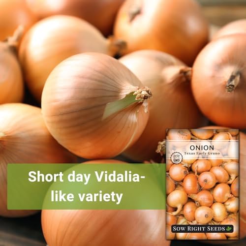 Sow Right Seeds Texas Early Grano Onion - Image 3