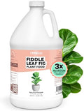 Fiddle Leaf Fig Fertilizer, Liquid Plant Food for Bigger Leaves, 1 Gallon by TPSNutrients