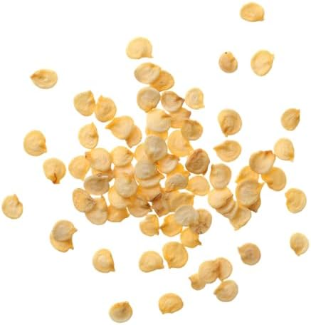 Seed Needs Chocolate Habanero Pepper Seeds to Plant Vegetables - 1 Pack - Image 6
