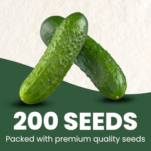 Marketmore Cucumber – 200 Premium Seeds for Planting – Crisp, Disease-Resistant Slicer for the 2026 Season – 6 Gram Pouch - Image 2