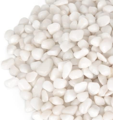 GASPRO White Landscaping Pebbles, 3/8 Inch, 2.5 lbs by GASPRO