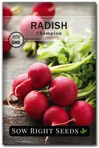 Sow Right Seeds - Champion Radish Seed for Planting Outdoor Red Radishes by SowRightSeeds