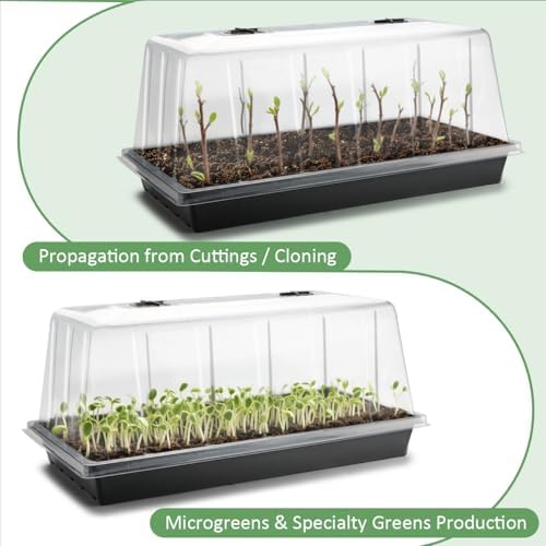 RooTrimmer 10-Pack 1020 Seed Trays with Tall 7.3" Humidity Dome, No Hole - Image 5