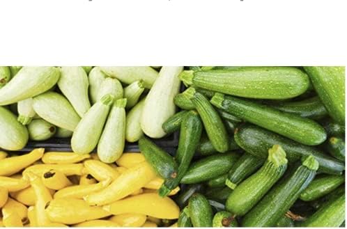 This is a Mix!!! 50+ Zucchini and Squash Mix Seeds 12 Varieties Non-GMO Delicious Grown in USA. Fast Growing, Rare, Super Profilic, - Image 6