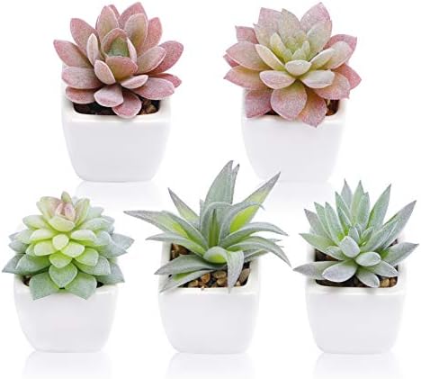 FUNARTY 5pcs Artificial Succulent Plants, Small Fake Desk Plants Mini Succulents Indoor for Shelf Living Room Bedroom Windowsills Office Home Decoration (Include White Ceramic Pots) by FUNARTY