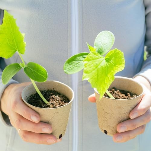 Dalzom® 60Pcs 4” Peat Pots with 60Pcs Plant Labels, Biodegradable Pots for Seedlings with Drainage Holes, Garden Plant Nursery Pots Seed Starting Trays - Image 7