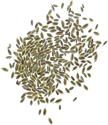 Seed Needs Bouquet Dill Seeds to Plant an Herb Garden - 1 Pack - Image 4