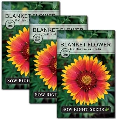 Sow Right Seeds - Blanket Flower Seed for Planting Perennial Wildflower by SowRightSeeds