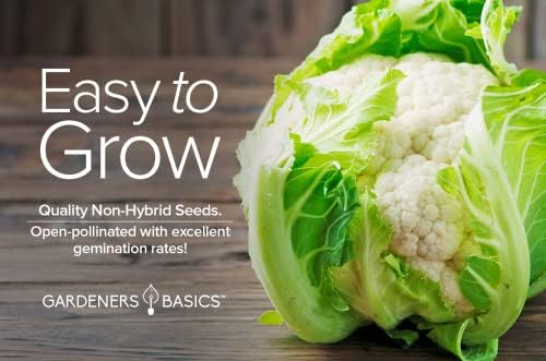 Gardeners Basics Cauliflower Seeds for Planting - (Snowball Y Improved) is A Great Heirloom, Non-GMO Vegetable Variety, 1 Gram Seeds Great for Outdoor Spring, Winter and Fall Gardening - Image 4