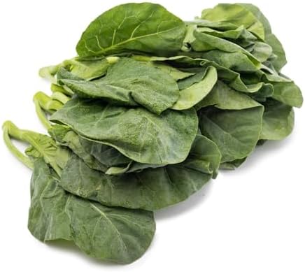 2000+ Chinese Broccoli Seeds (Kailan/Gai Lan/Cai Ri/Kai Lan/Cải Rổ), Non-GMO, Heirloom, Cantonese Cooking, Mai's Family - Image 3