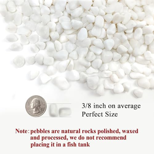 FANTIAN White Pebbles for Indoor Plants, 3/8 Inch Decorative White Stones. Polished River Rocks for Potted Plants Vase Cactus Bird Bath and Outdoor Garden Landscaping - Image 2