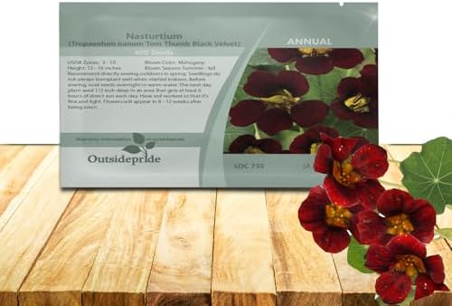 Outsidepride Tom Thumb Black Velvet Nasturtium Seeds - 400 Pcs Annual, Easy to Grow & Versatile, Flower Seeds for Planting Vibrant Blooms, Ideal for Gardens, Borders, and Pollinator Gardens by Outsidepride