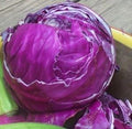 Cabbage Red Acre Great Heirloom Vegetable By Seed Kingdom 700 Seeds by Seed+Kingdom