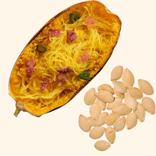 Organic Spaghetti Squash Seeds (Cucurbita Pepo) 30 Seeds (4 Grams) - Vegetable Spaghetti Winter Squash - Image 3