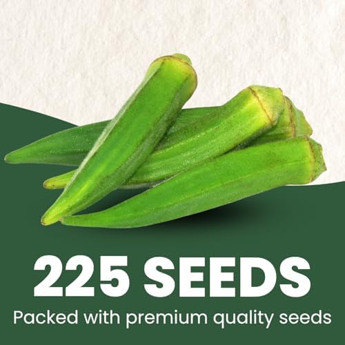 Okra Clemson Spineless – 225 Premium Seeds for Planting – High-Yield, Tender Heirloom Pods for the 2026 Season – 15 Gram Pouch - Image 2