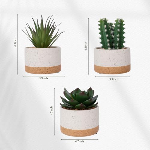 Artificial Succulent Cactus Plant Set Ceramic Flower Pot Set of 3 for Home, Office, Desk, Bedroom, Living Room Decoration - Image 2
