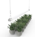 LED Grow Light 4FT Full Spectrum Compact Linkable Lighting Fixture for Indoor Greenhouse Year Round Plant Seedlings, Essential Grow Slim Hanging Suspended Strip by BoostGro