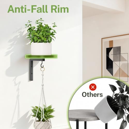 Wall Plant Holder with Macrame Hanger 2 Pack for Indoor, Black - Image 5