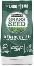 Pennington Kentucky 31 Tall Fescue Grass Seed, Drought-Resistant, 7 LB by Pennington