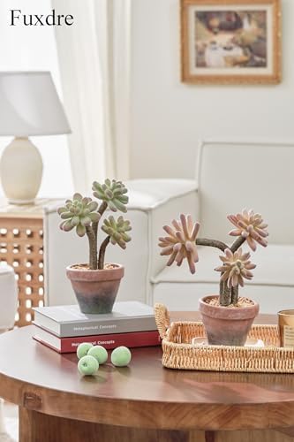 Artificial Succulents in Waterproof and Drop-resistant Pots with 2 Pack - Image 3