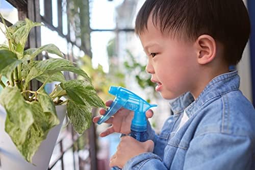 American Plant Exchange Marble Queen Pothos – Live 6-Inch Pot, Bright Green Trailing Vine, Easy-Care Air Purifying Houseplant for Hanging Planters, Shelves & Indoor Home or Office Décor - Image 5