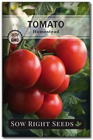 Sow Right Seeds - Homestead Tomato Seed for Planting Vegetable Garden by SowRightSeeds
