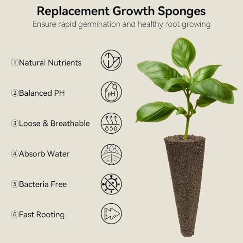 inbloom Asian Herb Seed Pod Kit for AeroGarden, iDoo, Ahopegarden, 7 Pods with 350+ Seeds (Basil, Parsley, Cilantro, Chrysanthemum, Pak Choi, Crystalline Ice Plant, Onion) Hydroponics Growing System - Image 4