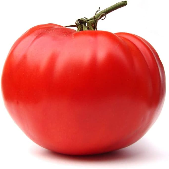Homestead Tomato Seeds – 3,000 Bulk Seeds by Unknown
