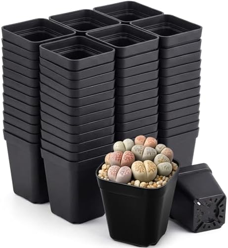 200 Packs Square Nursery Pots for Plants 2.2 Inch Seedling Pots by Unknown