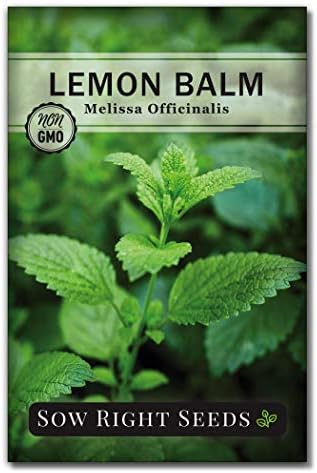Sow Right Seeds - Lemon Balm Seed for Planting Perennial Medicinal Herb by SowRightSeeds