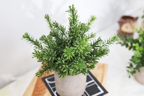 Der Rose 3 Pack Fake Plants Mini Faux Plants for Shelf Classroom Decor - Image 5