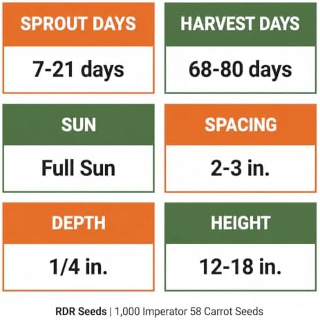 1000 Imperator 58 Carrot Seeds for Planting - Long Sweet Crisp Heirloom, Non-GMO, USA Grown by RDR Seeds - Image 4