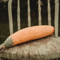 North Georgia Candy Roaster Squash - 25 Squash Seeds, Thresh Seed Co. by ThreshSeedCo