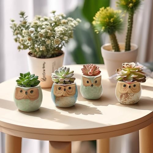 T4U Owl Succulent Pots, Mini Ceramic Planter, Retro Decor Gift Set of 12 - Image 5