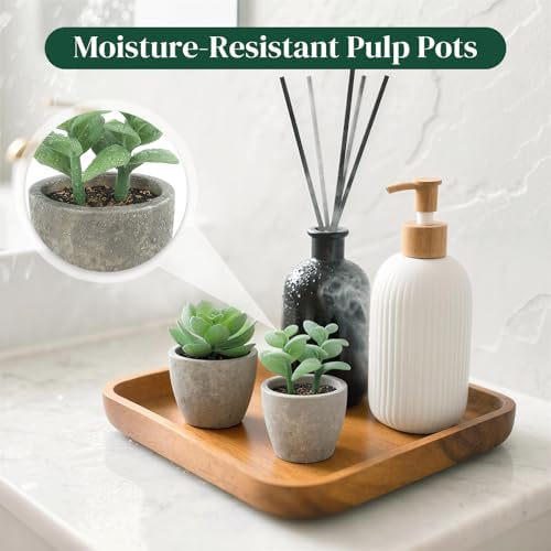 DomeStar Set of 6 Artificial Green Succulent Plants Potted - Image 3