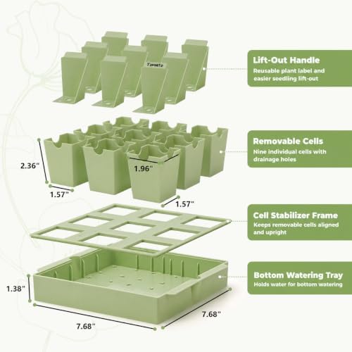Seed Starter Tray with Lift-Out Handles for Easy Transplanting - Image 3