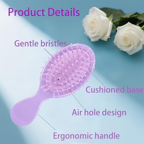 12 pcs Mini Hair Brush,Travel Detangling Brush - Image 3