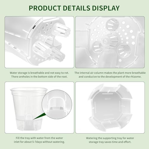 Cdd's Path 6 Inch Clear Self Watering Pots Set, 12 Pack Naked Root Planter with Deep Water Tank, Large Drainage Holes, Reservoir & Air Pipes for Indoor Outdoor Plants, Flowers, Seedlings - Image 7