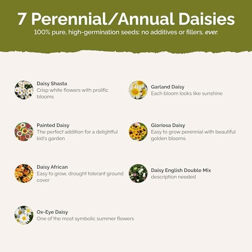 Eden Brothers Daisy Crazy Flower Mixed Seeds for Planting, 1 lb, 480,000+ Seeds with Creeping, Painted, Yellow Daisy | Attracts Pollinators, Plant in Spring or Fall, Zones 3, 4, 5, 6, 7, 8, 9, 10 - Image 3