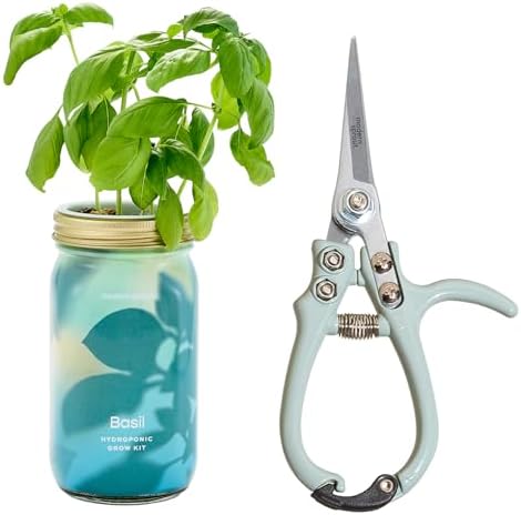 Modern Sprout Hydroponic Grow + Harvest Bundle by ModernSprout