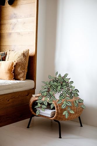 Briful Artificial Potted Plants Indoor - 18.5'' Small Faux Trailing House Plant with Cascading Vines Lifelike Fake Plants in White Plastic Pot for Shelf Desk Bathroom Home & Office Decor - Image 6
