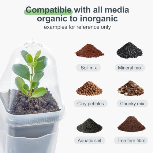 12 Pcs Clear Small Self Watering Pots for Indoor Plants - Image 6