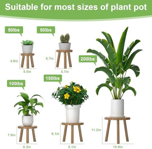 5-Pack Wood Plant Stands Indoor, Single Plant Stand for 6-12 Inch Pots, Mid-Century Modern Plant Stool, Tall Plant Stand for Large Plants for Living Room, Balcony, Office (Light Brown) - Image 2
