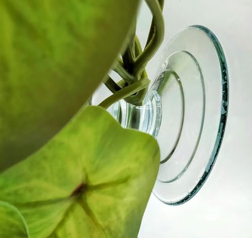 Reptile Plants for Terrarium,Habitat Decor,Hanging Plant with Suction Cup - Image 4